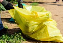 Ce deșeuri aruncăm în fiecare recipient? ADID Timiș reamintește regulile colectării separate saci galbeni