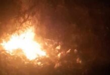 Numărul de incendii din Timiș a crescut în 2024! Care sunt principalele cauze