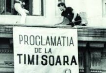 Apel al Societății Timișoara către Academia Română