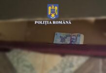 A furat în Timiş şi a fost prins în Iaşi