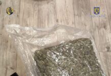 Tată şi fiu, arestaţi pentru că aduceau droguri din Spania prin firme de transport