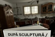 Se lansează o carte despre despre expoziția ”după Sculptură / Sculptură după”