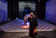 Februarie cu micro-stagiune și alte reprezentații atractive la Teatrul Maghiar