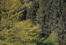 ABA Banat așteaptă opinii despre managementul spațiului hidrografic și gestionarea riscului de inundații