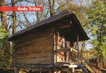 Încă un volum despre morile de apă din Caraș-Severin, lansat Asociația Acasă în Banat