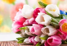 De miercuri se preiau cererile pentru vânzările de flori de 8 Martie