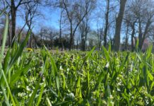 Alin Popoviciu, ironic cu dezastrul din parcurile timișorene: ”S-a inventat un nou joc, caută-ți copilul prin parc”. Fritz dă înapoi cu aberațiile ecologiste