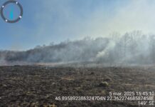 Record negativ în Timiș: zece incendii de vegetație într-o singură zi!