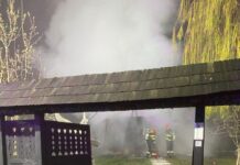 Reacția lui Simonis după ce Biserica de lemn de la Topla a fost distrusă de un incendiu în incinta Muzeului Satului Bănățean
