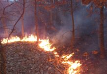 Clasamentul rușinii în care apare și județul Timiș. Cele mai mari probleme, în zona Lugoj-Făget