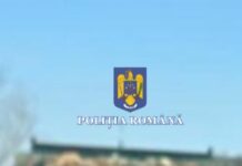 Încă un bărbat ce transporta lemne fără a respecta toate prevederile legale, prins de poliție