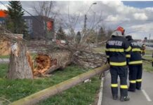 Stâlpi și semafoare puși la pământ de vânt