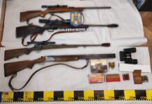 Două femei din Lugoj traficau arme ca în filmele de la Hollywood!