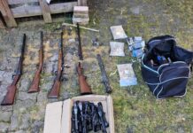 Rețea de trafic de arme de proporții cu ramificații în Timiș? Autoritățile au ajuns în Austria