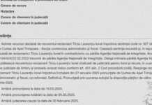 Mai bine mai Târziu! Un primar din Timiș a câștigat procesul cu ANI pentru incompatibilitate