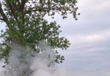 FOTO Tragedie în Duminica Tomii! Tânăr mort într-un accident cumplit