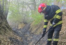 Incendii mari de vegetație în Țara Făgetului!