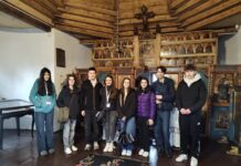 Avem matematicieni. Rezultate bune ale elevilor timișeni la Olimpiada școlară