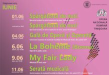 Și în iunie vor fi spectacole interesante la Opera Națională Română din Timișoara