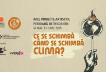 Se caută și se premiază o operă de artă despre schimbările climatice. Cum te poți înscrie