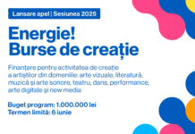 S-a lansat apelul de finanțare pentru artiști la început. Cum poți aplica