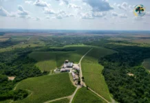 Alergare duminică pe Drumul Vinului: Maratonul Inimii