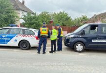 Au căutat migranți și au găsit…nereguli rutiere. Control în zona vămii Cenad