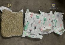 Încă o rețea de droguri ce se ”aproviziona” din Spania, destructurată