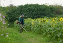 Cum să alegi cea mai bună motocoasă pentru nevoile tale de grădinărit