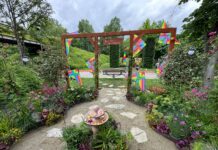 Spectacol… natural! Studenții USVT prezenți la cel mai mare festival al florilor din România