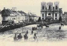 28 iulie, Ziua judeţului Timiş! La mulţi ani, timişeni, oriunde vă aflaţi!