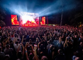 Programul complet la CODRU6 este aici: Ultimul weekend din vară aduce Gipsy Kings, S.A.R.S., Subcarpați și o imensă galerie de artă în Pădurea Verde din Timișoara!