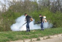 Era şi timpul! Acțiune de dezinsecție împotriva căpușelor și țânțarilor în luna septembrie