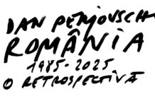Timișoara găzduiește cea mai importantă expoziție Dan Perjovschi din România