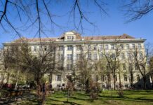 Un milion de români suferă de astm. De Ziua Mondială a Astmului, vorbim despre tratamente care nu ajung la toți pacienții