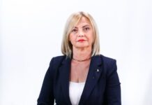 Cornelia-Elena Micicoi va fi noul perfect al Timişului