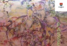 Cristian Sida face „Passepartouze” pe simezele Muzeului Național de Artă din Timișoara