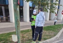 Amenzi de aproape 100.000 de lei „obținute” de… pietoni!