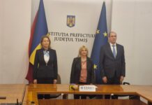 Cornelia-Elena Micicoi este oficial prefectul judeţului Timiş