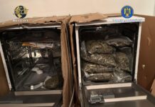 Traficanți de cocaină și cristale, duși la audieri în Timișoara