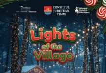 Subcarpați, The Motans, Vunk, Damian & Brothers, Mircea Baniciu, etc, vin la Muzeul Satului înainte de Crăciun