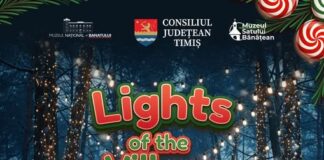 Subcarpați, The Motans, Vunk, Damian & Brothers, Mircea Baniciu, etc, vin la Muzeul Satului înainte de Crăciun