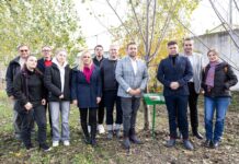 „Pădurea UVT” – plantarea unei păduri de plopi energetici, soluție modernă pentru refacerea mediului și producerea de energie verde