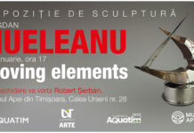 „Moving Elements”, expoziția care deschide sezonul 2026 la Muzeul Apei Timișoara