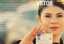 Program social pentru tineri: costurile permisului de conducere, acoperite prin „Permis pentru viitor”