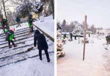 Comandament de iarnă la Timișoara: intervenții extinse din cauza gerului