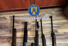 Înarmați până în dinți au făcut dezastru prin pădure. Vânătorii fără acte vor răspune legii pentru mai multe capete de acuzare