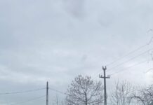 Prostul zilei: beat, fără permis și cu mașina în… șanț!