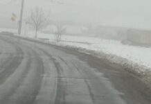 Ghid de bună practică: la Remetea Mare s-a deszăpezit cu succes