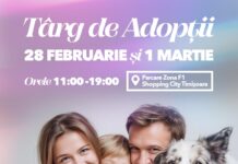 Super-Târg de adopții de Mărțișor la Shopping City Timișoara – peste 100 de câini și pisici își caută o familie